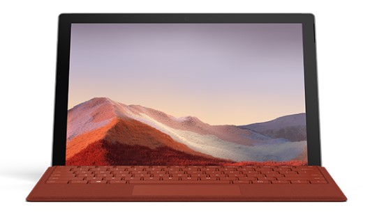 平塘清洁和维护 Surface